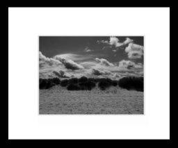 Dunescapes.jpg