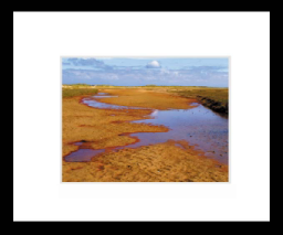 Saltplain.jpg