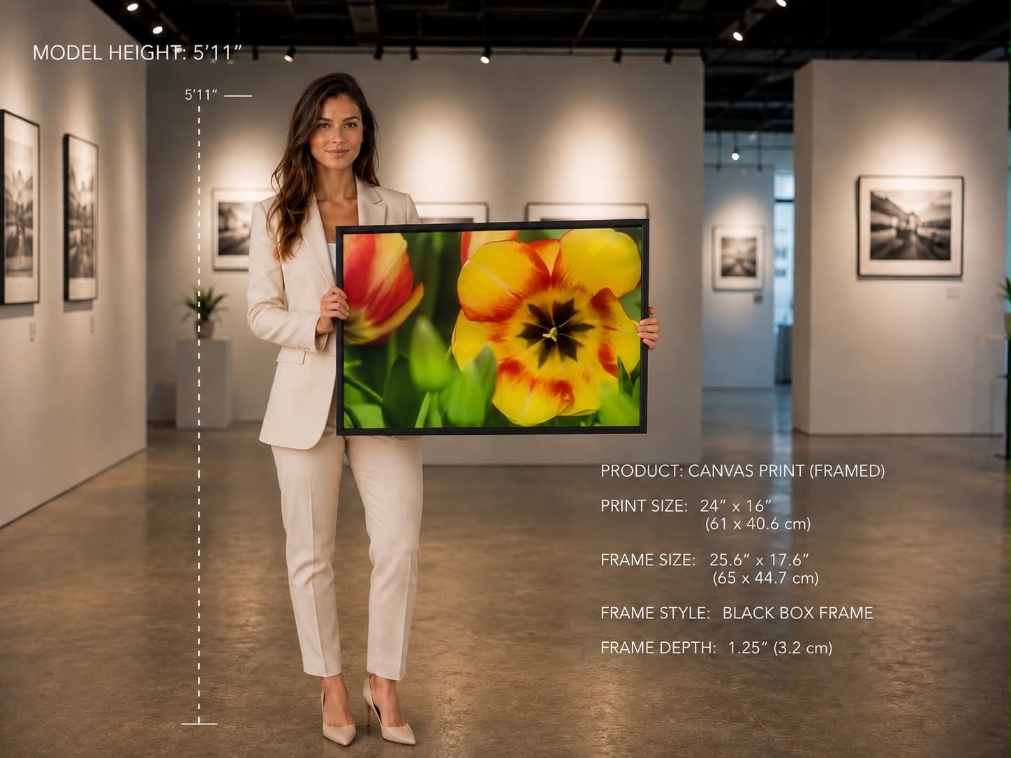 Box-Framed Canvas Wrap Product Display