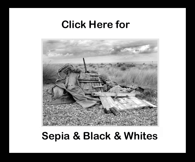 Black and White Gallery