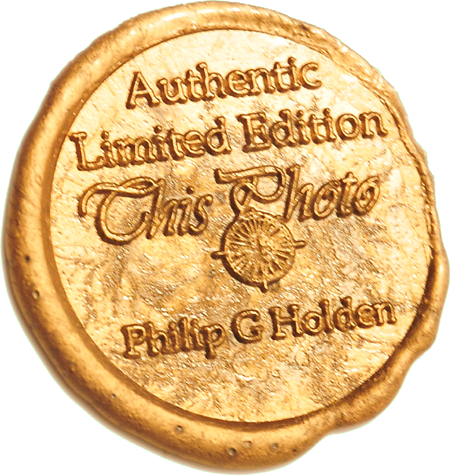 ThisPhoto Logo