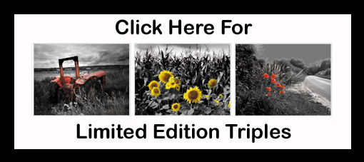Limited Edition Triples