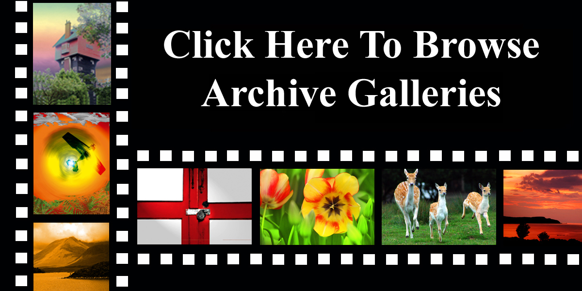 ThisPhoto Archive Galleries